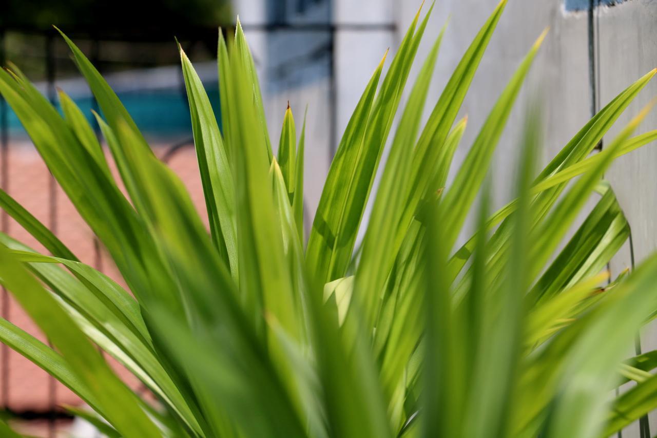 Corner9 Bassac Boutique Hotel Phnom-Penh Buitenkant foto